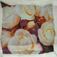 Absence - Single - JohnnyHoke
