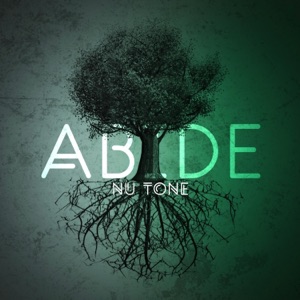Abide (feat. Torey D'shaun & Drew Ava)