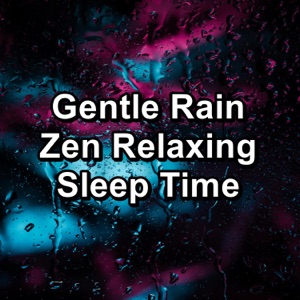 Gentle Rain Zen Relaxing Sleep Time