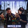 Right Now (feat. Ray Vicks) - Single