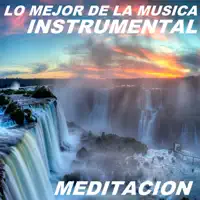 CEREZO ROSA — lA MEJOR MUSICA iNSTRUMENTAL