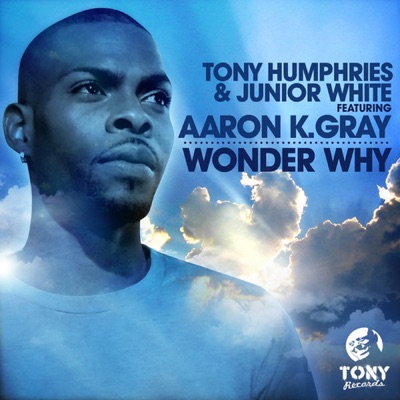 Wonder Why (feat. Aaron K. Gray) - Single