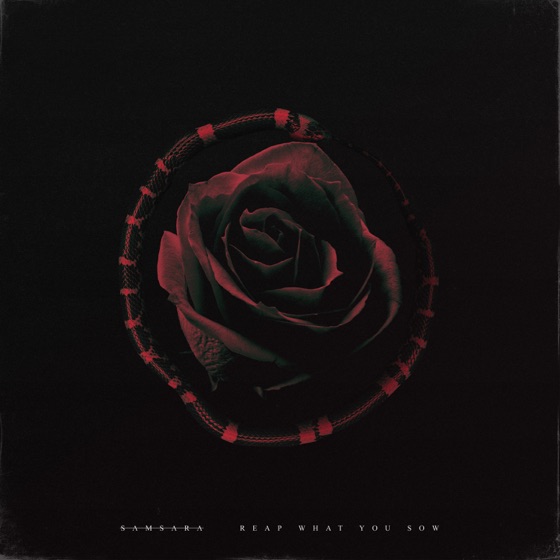 Cover artwork for Illusions