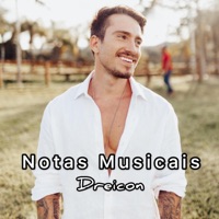 Notas Musicais - Single - Dreicon
