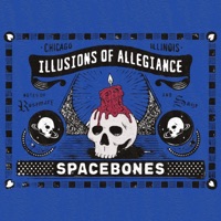 Illusions of Allegiance - Single - Spacebones