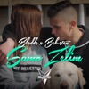 Samo zelim (feat. Bek-Sten) - Single