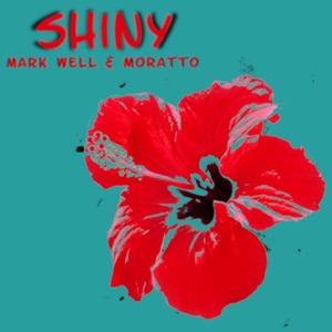 Shiny - Single
