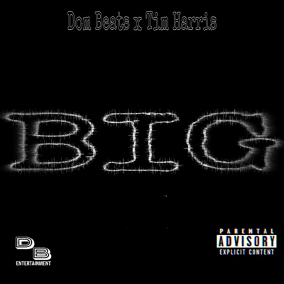 Big (feat. Tim Harris) - Single