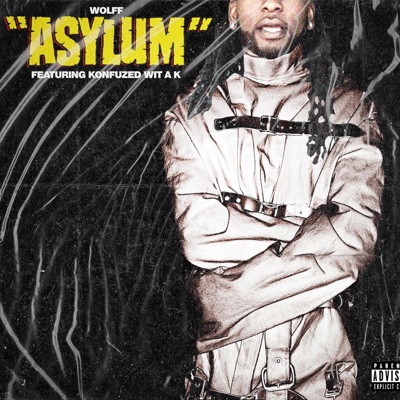 Asylum (feat. Konfuzed wit a K) - Single