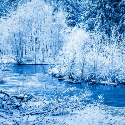 Happy Holidays (feat. Cov) - Single