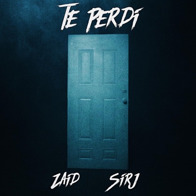 Te Perdí (feat. Sir J) - Single