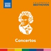 Dong Suk Kang Triple Concerto in C Major, Op. 56: II. Largo Celebrate Beethoven: Concertos
