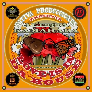 Love Is In Da House (Remix) - Single