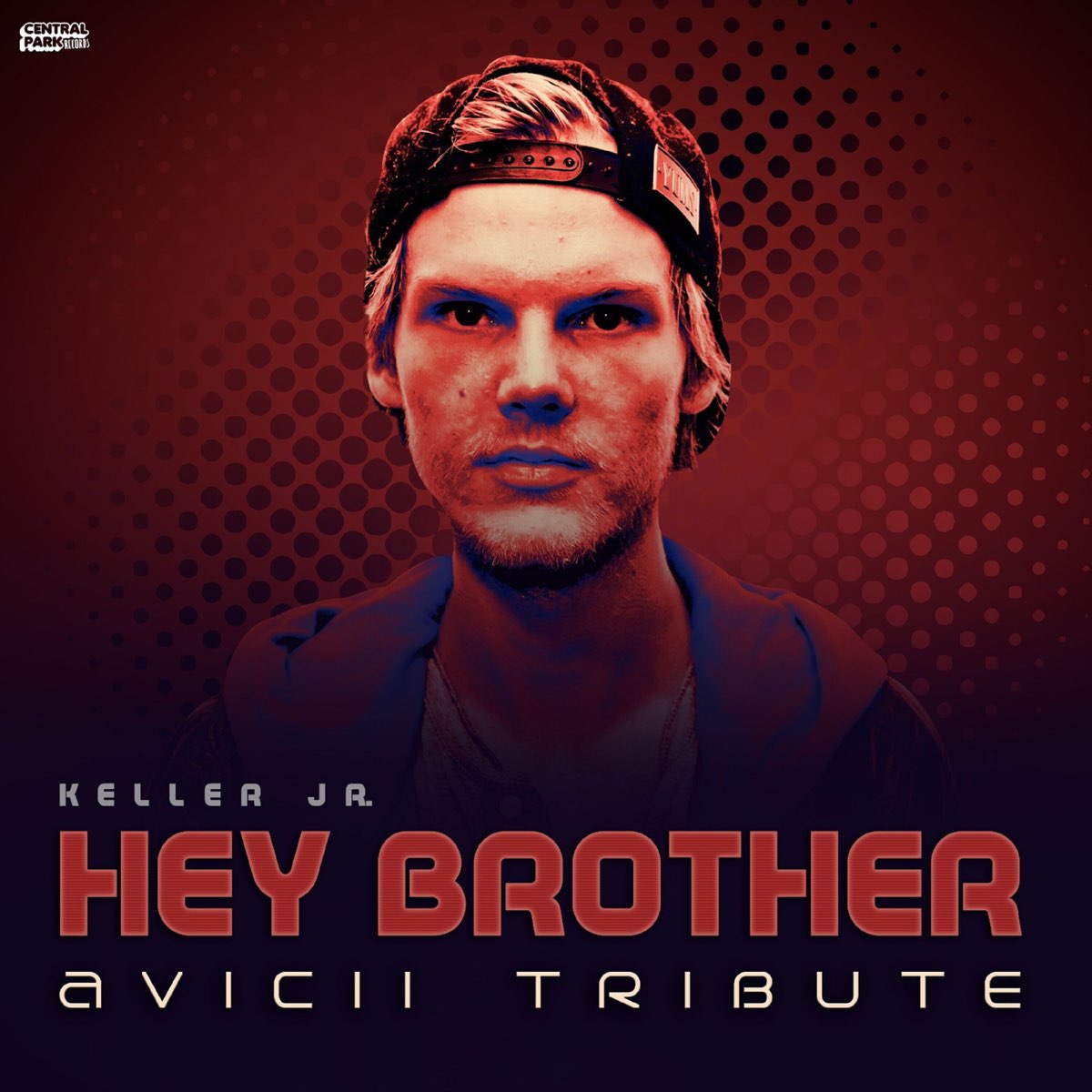 Avicii Hey brother. Hey brother. Hey brother Avicii перевод. Hey brother Jack Estes. Avicii brother