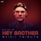Hey Brother (feat. Acoustic Covers) artwork