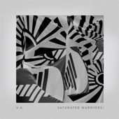 Saturated Warriors! - Verschillende artiesten