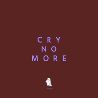 Cry No More - Single - Cantsleep