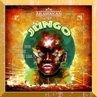 Jungo by Native Tribe, Da Q-Bic & Thab De Soul song reviws