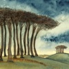 Cosmo Sheldrake - Beech