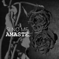 Si no me Amaste (feat. J bravo) - Single - Jay Huesos