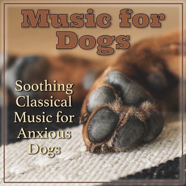 Music for Dogs: Soothing Classical Music for Anxious Dogs