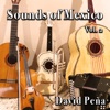 Sounds of México, Vol. 2
