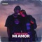 MI Amor artwork