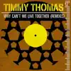 Timmy Thomas - Why Can't We Live Together (Lasting Peace Mix)