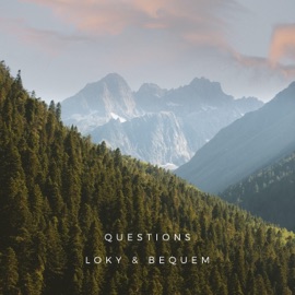 Questions LOKY & Bequem