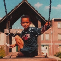 Succesvol - Single - Dimi Rougé