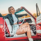 Wildfires artwork