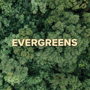 Evergreens