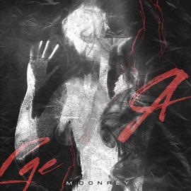 Где я? moonrey
