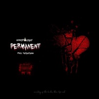 Permanent - Single - Kaycee Young