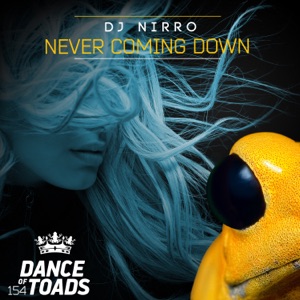 Never Coming Down - Single
