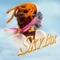 SKYBOX - Gunna lyrics