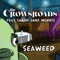 Seaweed (feat. Sarah Jane Morris) - the crowsroads lyrics