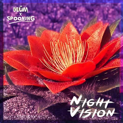Night Vision - Single