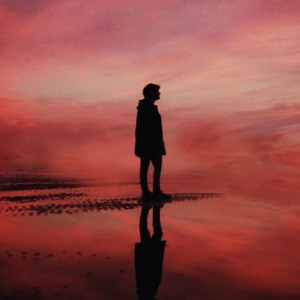 The Final Chapter - Single