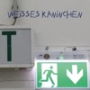 Weisses Kaninchen (feat. Bruder Bender & Tanya) - Single