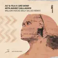 Million Voices