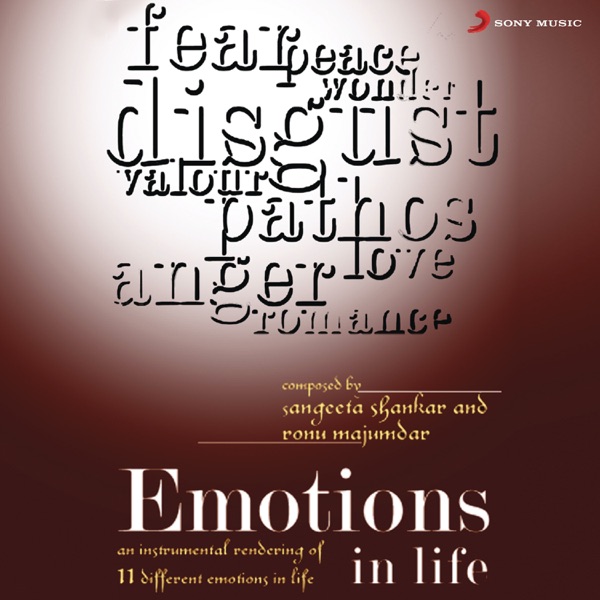 Emotions In Life