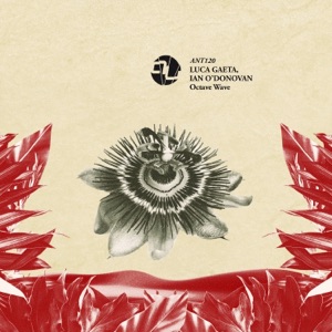 Octave Wave (Radio Edit) - Single