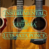 Entre Dos Agua (Instrumental) artwork
