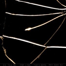 Is This All (feat. Omar Ka) Niké Laos & Thierry Ganz