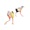 Patricia Turnes - Era una vieja loca