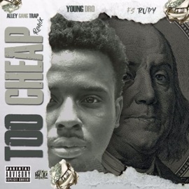 2 Cheap (feat. Young Dro & FS Rudy) Alley Gang Trap