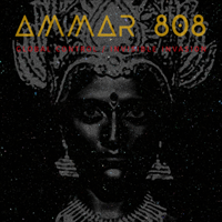 Ammar 808 - Global Control / Invisible Invasion artwork