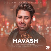 Delam Ashegh Shode artwork