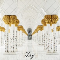 Try - Single - FPN norway